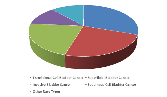 Bladder Cancer Therapeutics Market 