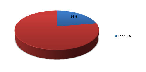 Dimethyl Disulfide Market 