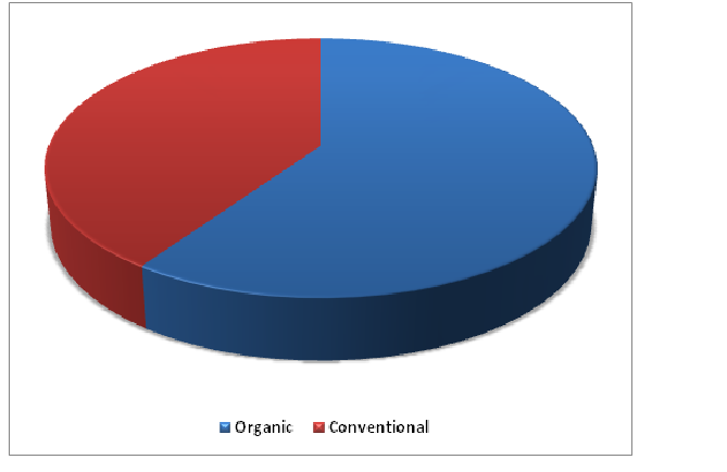 Hemp Juice Market 