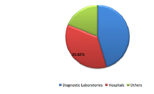 Urinary Tract Infection Diagnosis 