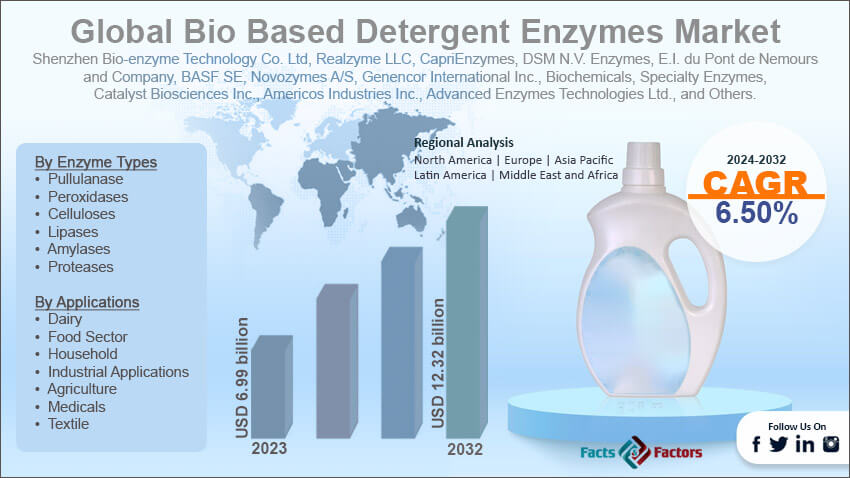 Global Bio Based Detergent Market