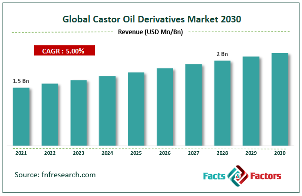 Global Castor Oil Derivatives Market Size