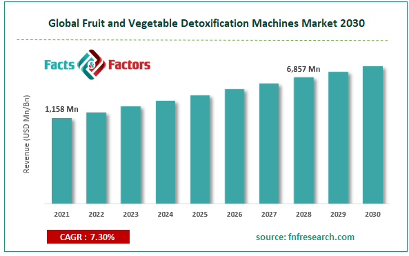 Global Fruit and Vegetable Detoxification Machines Market Size