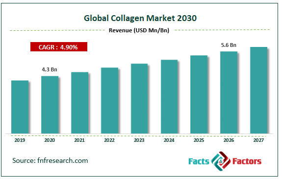 Global Collagen Market Size