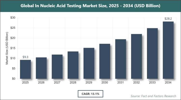 Global In Nucleic Acid Testing Market Size