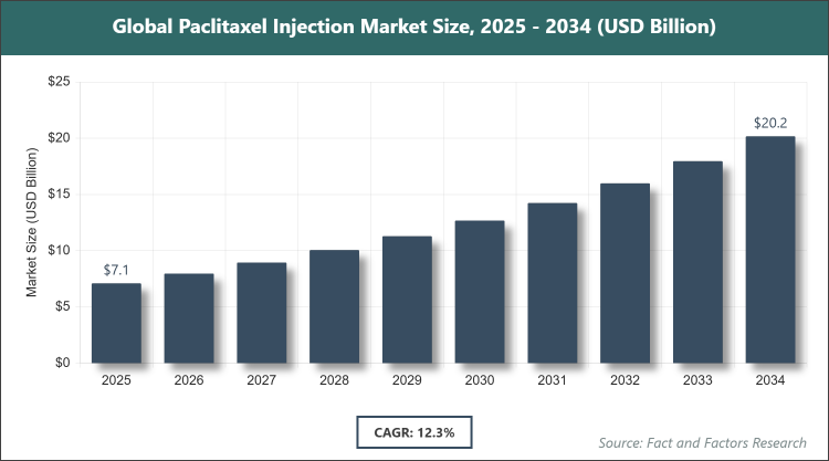 Global Paclitaxel Injection Market Size