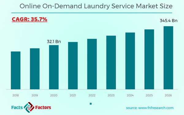 Online On-Demand Laundry Service Market Size