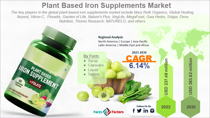 global-plant-based-iron-supplements-market-size