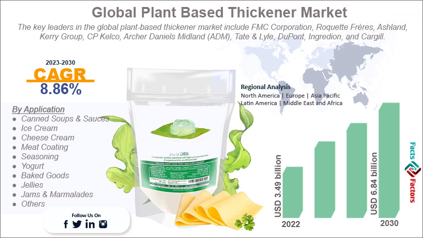 global-plant-based-thickener-market-size
