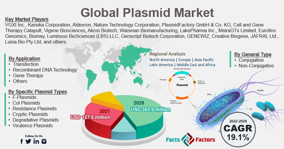 Global Plasmid Market