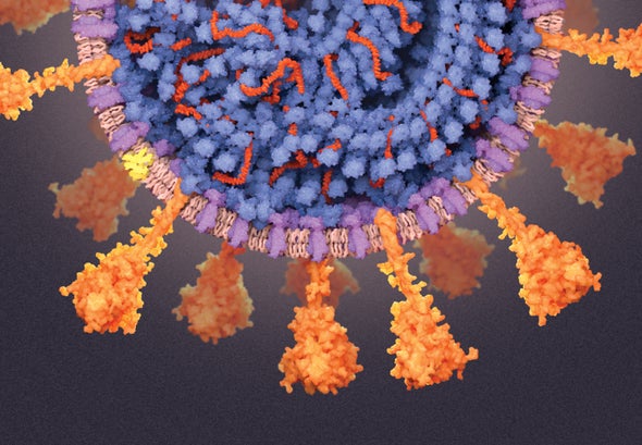 Glycans Help SARS-CoV-2 Virus Evade Human Cells